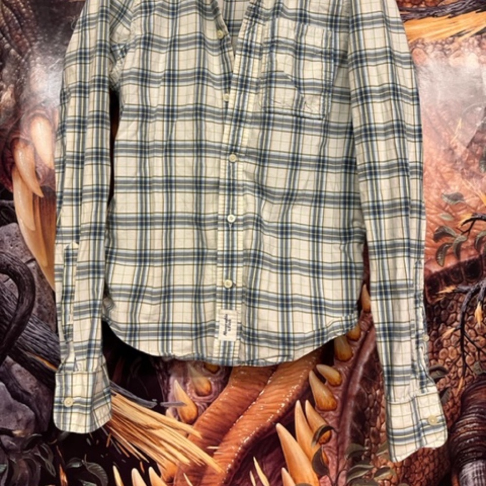 Abercrombie & Fitch Flannel shirt - Picture 4 of 4
